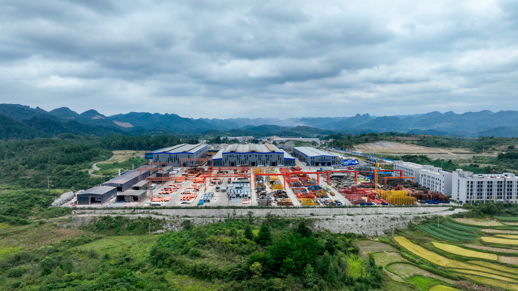 红心同路 | 全链同心：从一粒种子到一片森林